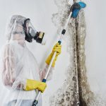 Ein professioneller Desinfektor im Overall bearbeitet die Wände aus Schimmel mit einer Bürste. Entfernung von schwarzem Pilz in der Wohnung und im Haus. Aspergillus." n