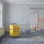 Leerer skandinavischer Raum - Luftentfeuchter